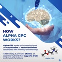 high-potency-alpha-gpc-with-vitamin-b12--5.jpg