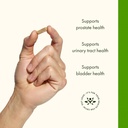 swanson-pygeum---herbal-supplement---men-4.jpg