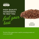 swanson-pygeum---herbal-supplement---men-5.jpg