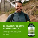 swanson-pygeum---herbal-supplement---men-6.jpg