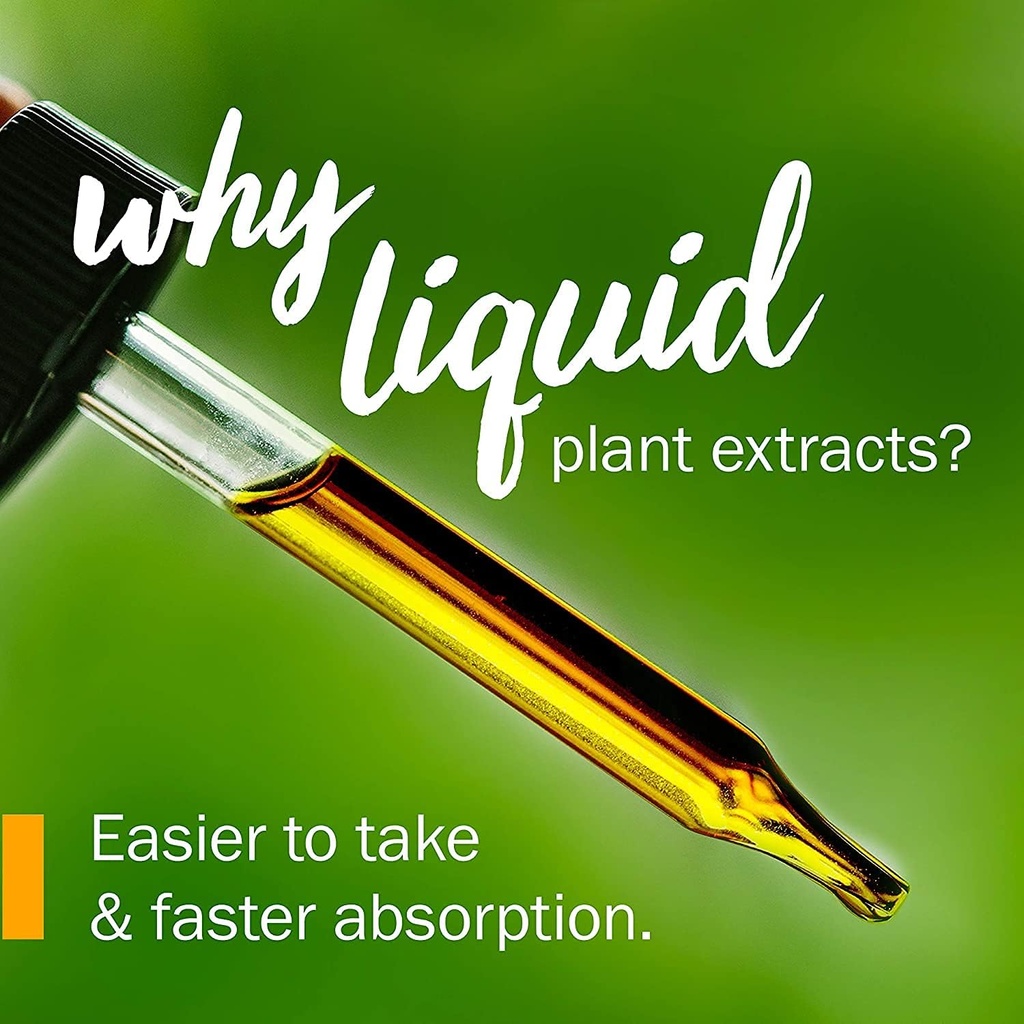 herb-pharm-burdock-blend-liquid-extract--3.jpg