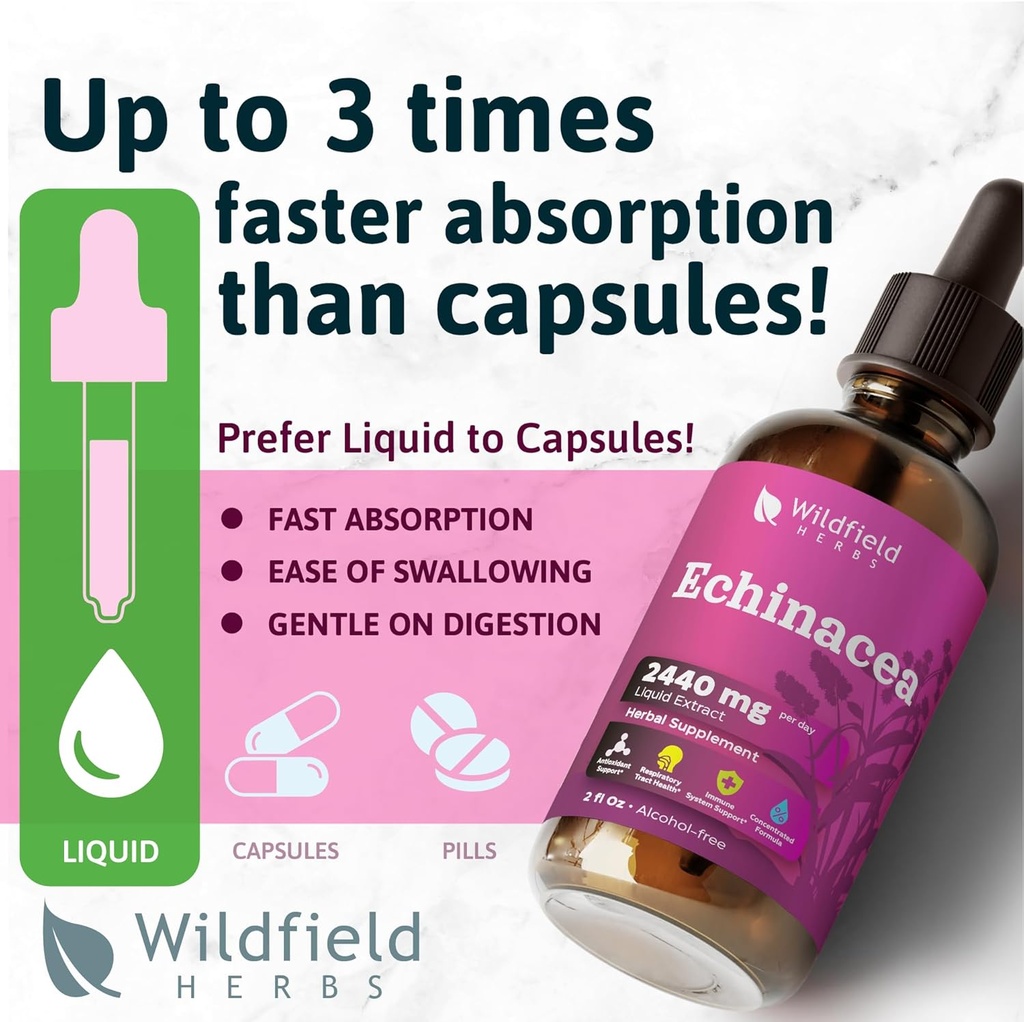 liquid-echinacea-extract---echinacea-roo-4.jpg