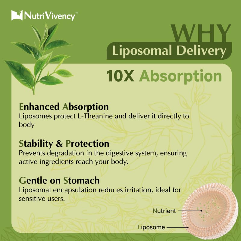 liposomal-l-theanine-gummies-sugar-free--5.jpg