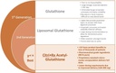 citrirx-acetyl-glutathione---300mg-2-mon-4.jpg