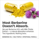 blue-organix-berberine-with-milk-thistle-2.jpg