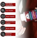 cancer-sciences-cachexia-supplement-usda-4.jpg
