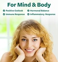 st-johns-wort-capsules---powerful-potent-4.jpg