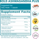 ashwagandha-plus-stress-mood-memory-ener-3.jpg