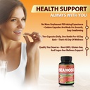 organic-cadane-irish-sea-moss-extract-ca-6.jpg