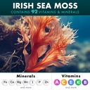 sea-moss-bundle-wildcrafted-irish-sea-mo-3.jpg