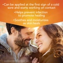 campho-phenique-cold-sore-and-fever-blis-3.jpg