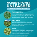 ashwagandha-plus-stress-mood-memory-ener-5.jpg