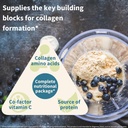 advanced-vegan-vanilla-collagen-peptide--4.jpg
