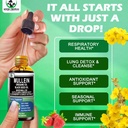 16-in-1-organic-mullein-drops-for-lungs--5.jpg