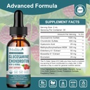 2-pack-glucosamine-chondroitin-msm-liqui-2.jpg