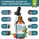 2-pack-glucosamine-chondroitin-msm-liqui-5.jpg