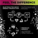 lmnt-sparkling-electrolyte-drink-black-c-3.jpg