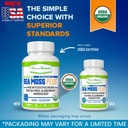 power-by-naturals-certified-organic-sea--4.jpg