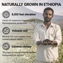 ethiopian-black-seed-oil-capsules-organi-4.jpg