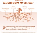 host-defense-mycobotanicals-energy-capsu-4.jpg