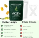 betterbrand-mullein-gummies-for-lungs-10-6.jpg