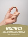 bulksupplements-com-cordyceps-mushroom-c-4.jpg