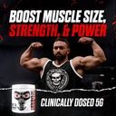 jnx-sports-the-curse-creatine-monohydrat-6.jpg