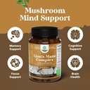 advanced-lions-mane-mushroom-supplement--3.jpg