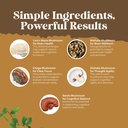 advanced-lions-mane-mushroom-supplement--4.jpg