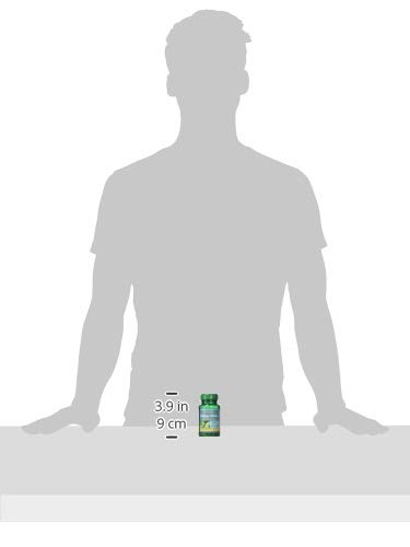 puritan-s-pride-ginkgo-biloba-standardiz-3.jpg
