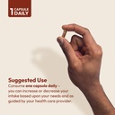 andrew-lessman-cinnamon-400mg-60-capsule-6.jpg