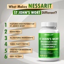 st-johns-wort-14-in-1-natural-blend-with-4.jpg