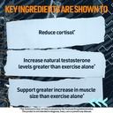 blue-star-nutraceuticals-status---testos-5.jpg