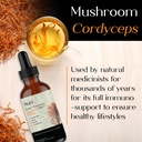auri-super-mushroom-cordyceps-elixir-for-4.jpg