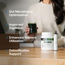 transparent-labs-prebiotic-greens-superf-6.jpg