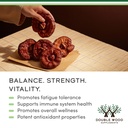 reishi-mushroom-capsules-4-1-ganoderma-e-4.jpg