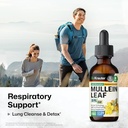 bio-krauter-chlorophyll-tincture-2-fl-oz-6.jpg