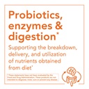 now-foods-supplements-inulin-prebiotic-p-4.jpg