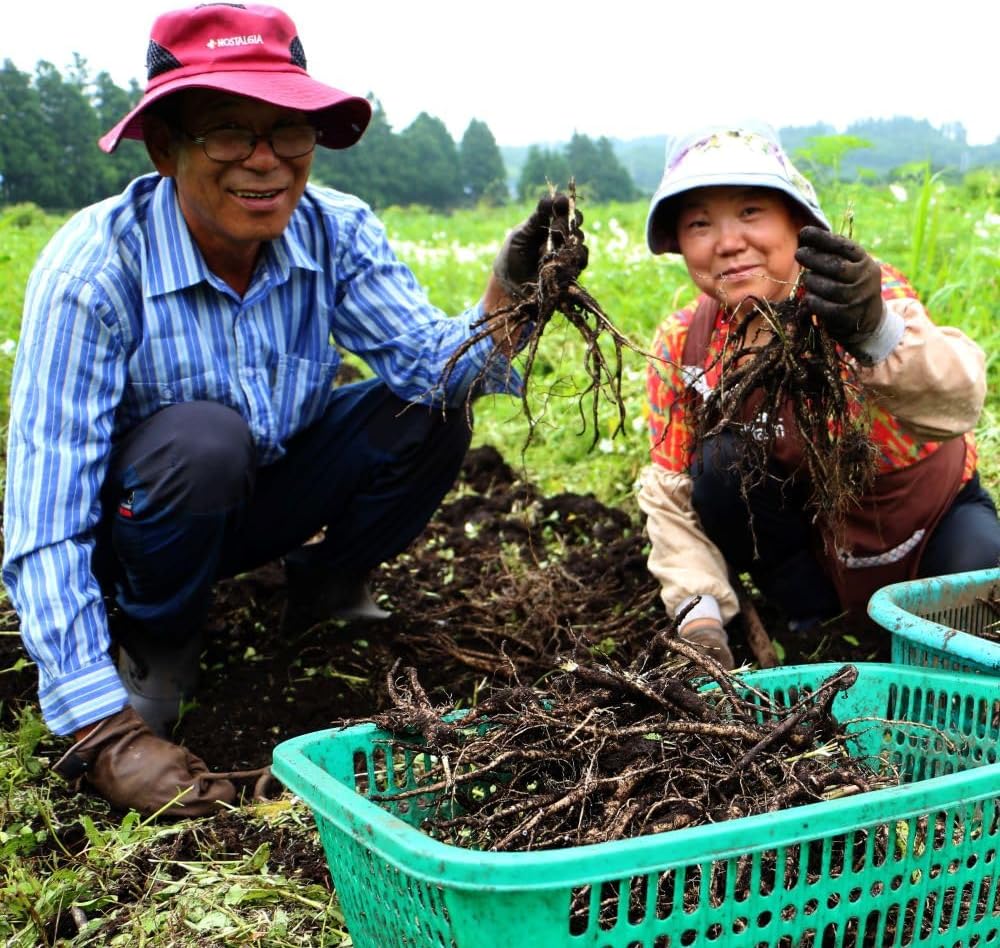 heblis-korean-black-ginseng-and-white-pl-5.jpg