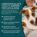 animal-essentials-hawthorn-berry-supplem-6.jpg