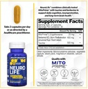 natural-stacks-neurolife-dopamine-brain--5.jpg