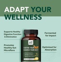 herbal-bee-gut-health---gas-and-bloating-6.jpg