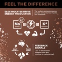 lmnt-zero-sugar-hot-chocolate-or-coffee--5.jpg