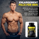 alpha-testosterone-booster-for-men-incre-2.jpg