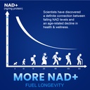 nmn-1000mg-per-serving-maximum-strength--4.jpg