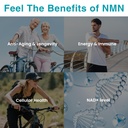 vegan-nmn-supplement-500mg-higher-absorp-4.jpg