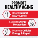 force-factor-nmn-supplement-nicotinamide-2.jpg