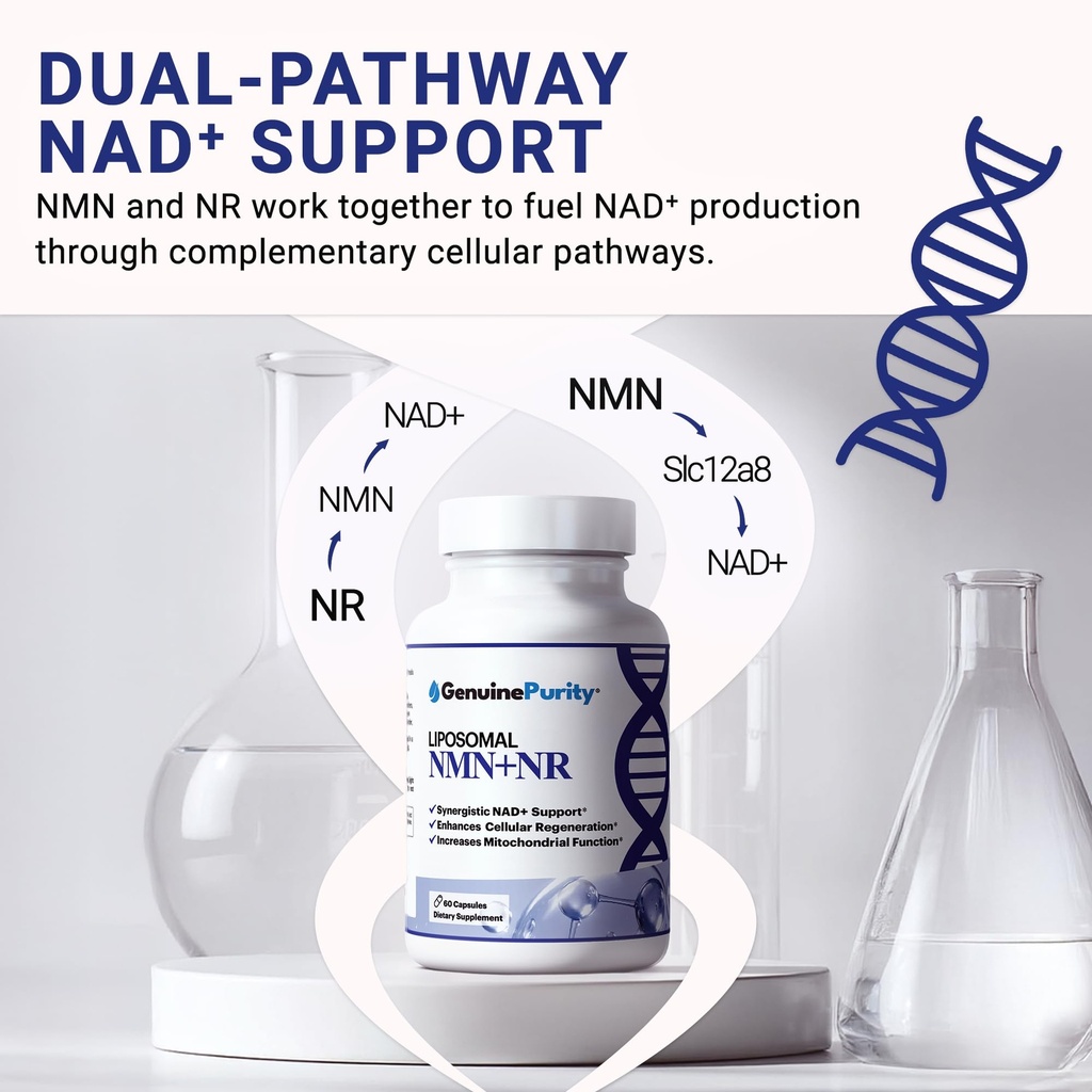 liposomal-nmn-nr-supplement-60-vegan-cap-4.jpg
