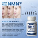 nmn-500-mg-supplement-easily-absorbed-ni-3.jpg
