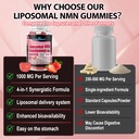 nmn-supplement-1000mg-4-in-1-liposomal-n-6.jpg